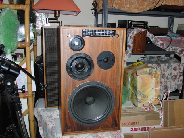 




classiche casse RCF in ottima forma? Tre vie con degli ottimi bassi e degli alti che mi hanno meravigliato, le credevo piu' chiuse.
Le rifiniture sono di gran classe. Il legno si spreca. 
Queste vecchie bambine se si vendessero ora costerebbero un pacco di euro ve lo assicuro. Fatte troppo bene!!!! 