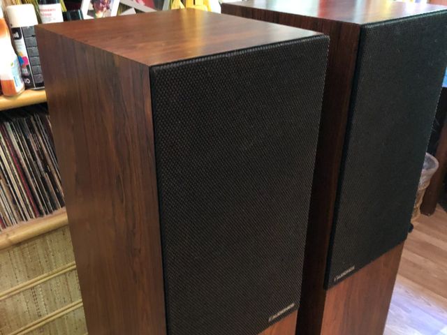 Da poco finito il restauro di queste casse favolose. Le AUDIONICS TL90. Dei diffusori a linea di trasmissione. Non potete immaginare il suono che riescono a riprodurre, un sogno. Più in là racconterò la loro storia.